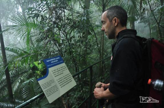 Placa informativa ao longo da trilha suspensa que atravessa trecho de mata úmida na parte baixa do Parque Nacional da Serra dos Órgãos, no Rio de Janeiro, portaria de Teresópolis